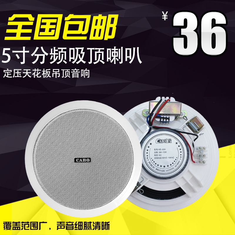 Buy Cabo Canadian Treasure Kd 702 W Wall Speaker Ceiling Speaker