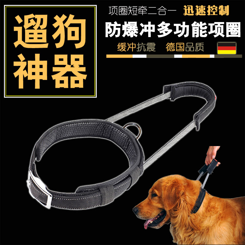 chain dog harnesses for large dogs