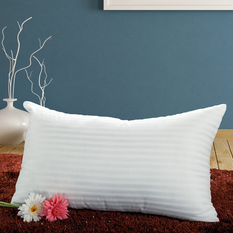 spine support pillow