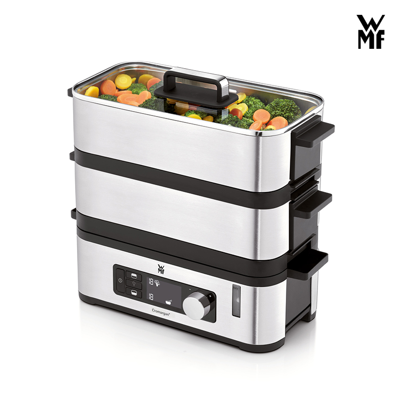 electric steam cooker
