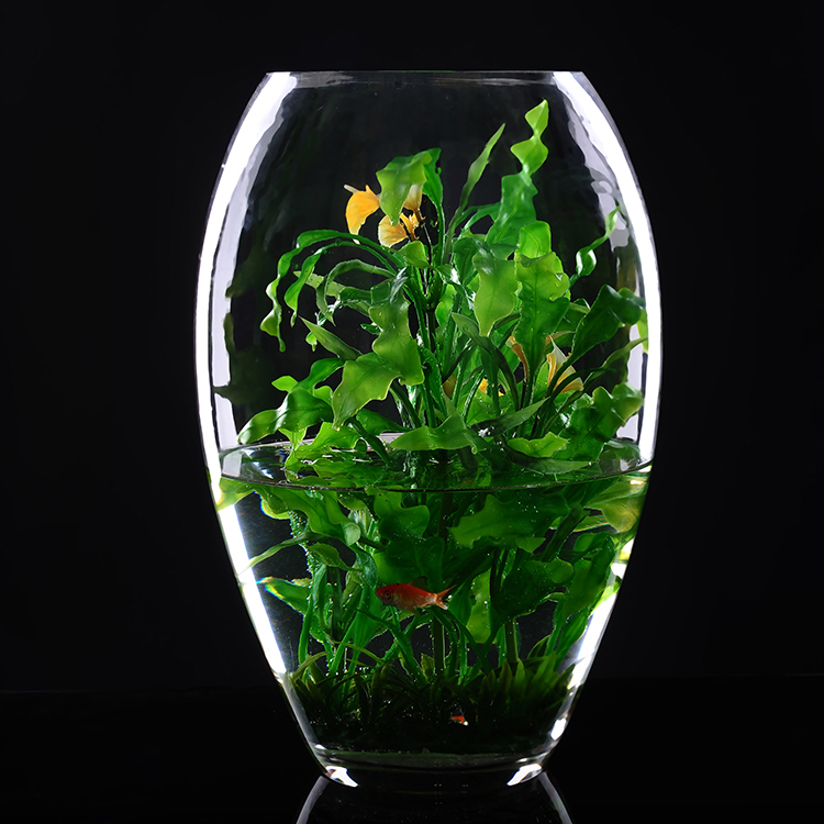 Buy Extra Large Floor Transparent Glass Vase Flower Hydroponic