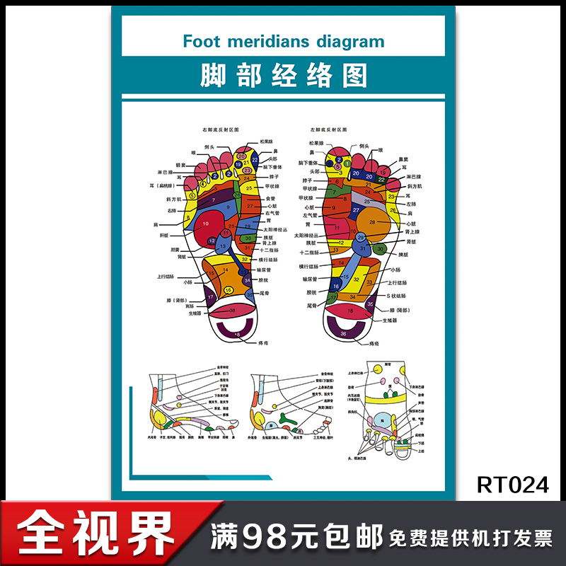 Foot Meridians Chart