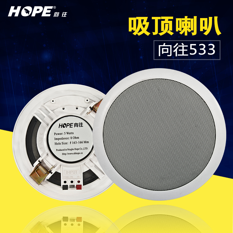 China Best Ceiling Speakers China Best Ceiling Speakers