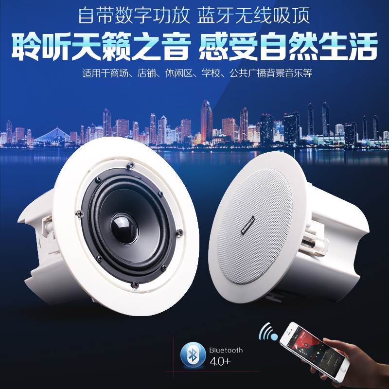 Buy Shinco Shinco V1 Active Ceiling Speakers Embedded Stereo